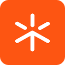 Flint logo